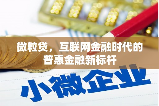 定安微粒贷，互联网金融时代的普惠金融新标杆