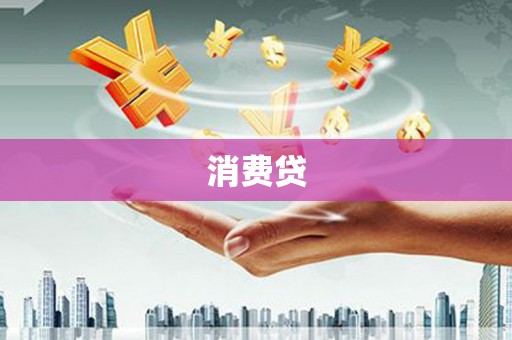 定安消费贷