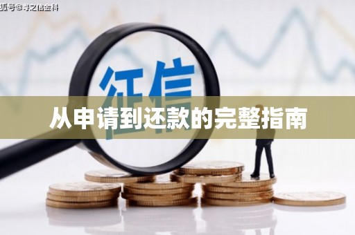 定安从申请到还款的完整指南