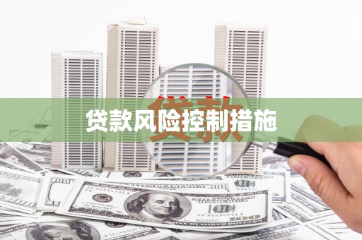 定安贷款风险控制措施
