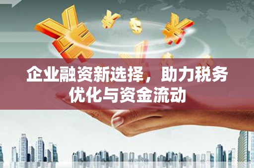 定安企业融资新选择，助力税务优化与资金流动