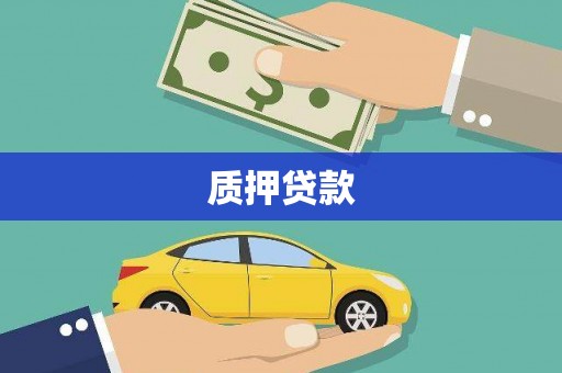 定安质押贷款