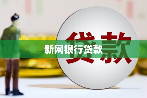 定安新网银行贷款