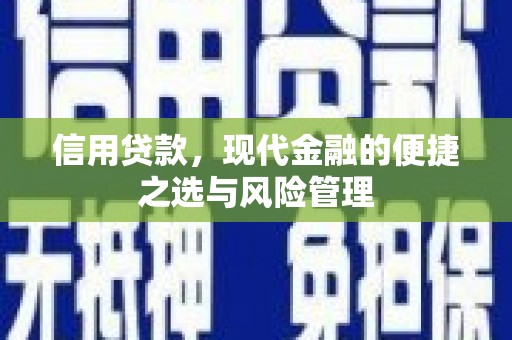 定安信用贷款，现代金融的便捷之选与风险管理