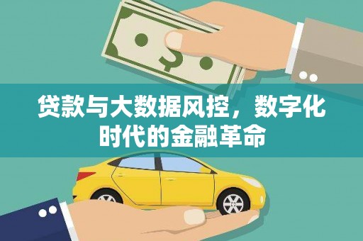 定安贷款与大数据风控，数字化时代的金融革命