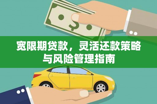 定安宽限期贷款，灵活还款策略与风险管理指南