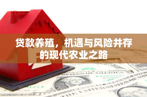 定安贷款养殖，机遇与风险并存的现代农业之路