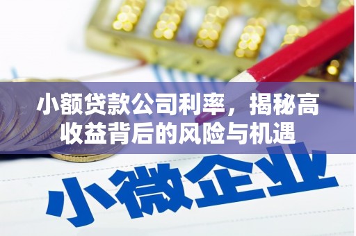 定安小额贷款公司利率，揭秘高收益背后的风险与机遇