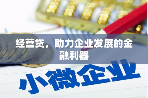 定安经营贷，助力企业发展的金融利器