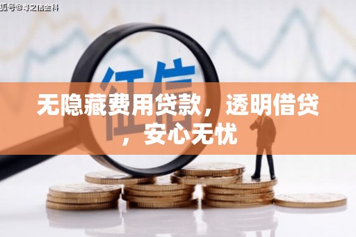 定安无隐藏费用贷款，透明借贷，安心无忧