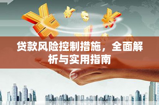 定安贷款风险控制措施，全面解析与实用指南