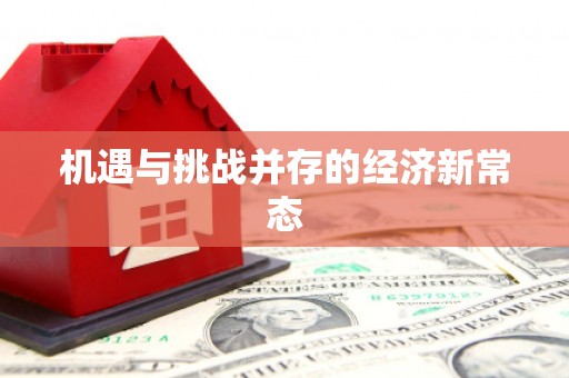 定安机遇与挑战并存的经济新常态