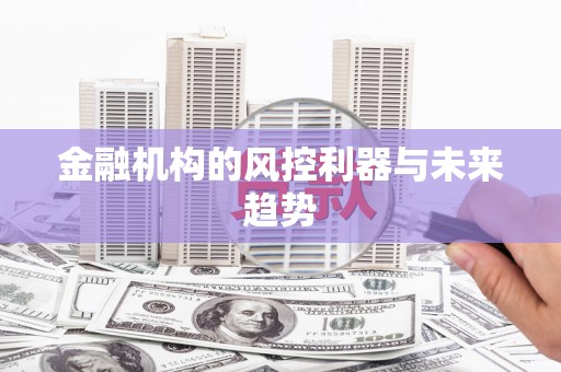 定安金融机构的风控利器与未来趋势