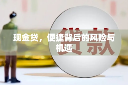 定安现金贷，便捷背后的风险与机遇