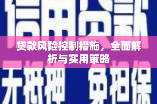 定安贷款风险控制措施，全面解析与实用策略