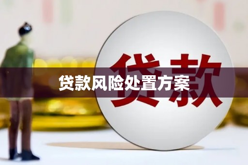 定安贷款风险处置方案