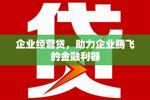 定安企业经营贷，助力企业腾飞的金融利器