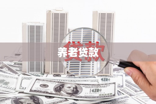 定安养老贷款