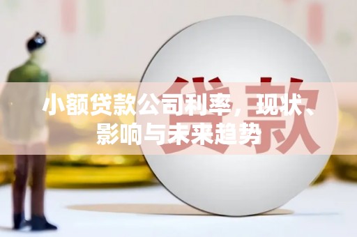定安小额贷款公司利率，现状、影响与未来趋势