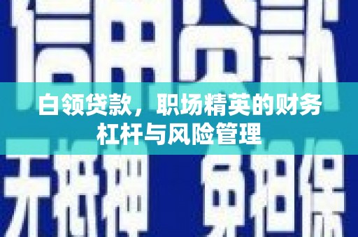 定安白领贷款，职场精英的财务杠杆与风险管理