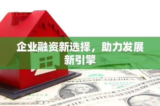 定安企业融资新选择，助力发展新引擎
