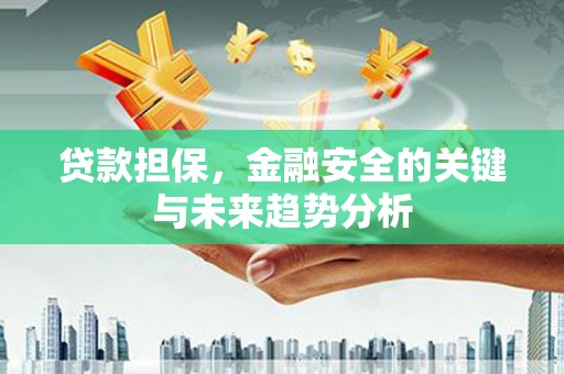 定安贷款担保，金融安全的关键与未来趋势分析