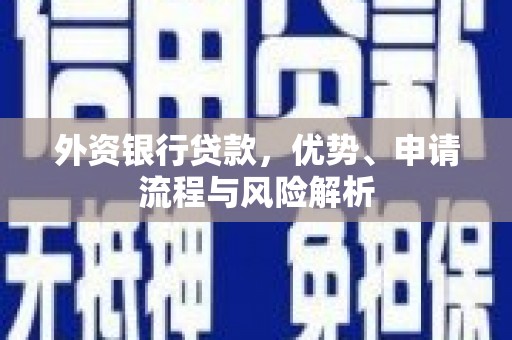 定安外资银行贷款，优势、申请流程与风险解析