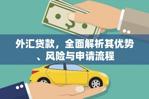 定安外汇贷款，全面解析其优势、风险与申请流程
