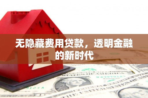 定安无隐藏费用贷款，透明金融的新时代