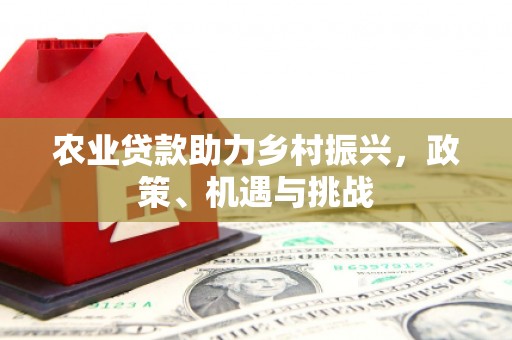 定安农业贷款助力乡村振兴，政策、机遇与挑战