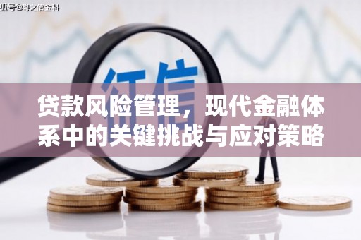 定安贷款风险管理，现代金融体系中的关键挑战与应对策略