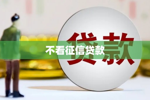 定安不看征信贷款