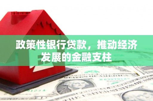 定安政策性银行贷款，推动经济发展的金融支柱