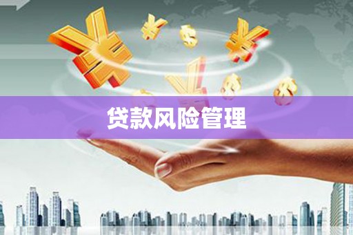 定安贷款风险管理