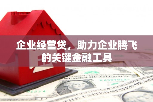 定安企业经营贷，助力企业腾飞的关键金融工具