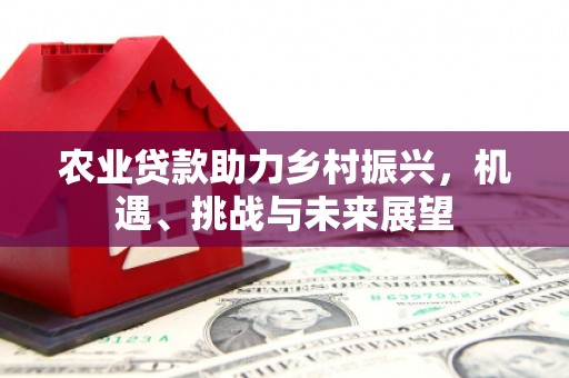 定安农业贷款助力乡村振兴，机遇、挑战与未来展望