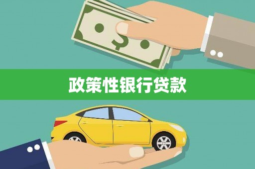 定安政策性银行贷款