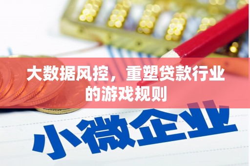定安大数据风控，重塑贷款行业的游戏规则
