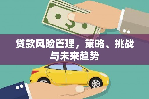 定安贷款风险管理，策略、挑战与未来趋势