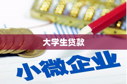 定安大学生贷款