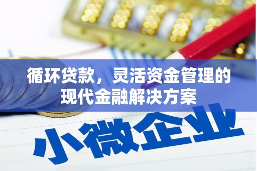 定安循环贷款，灵活资金管理的现代金融解决方案