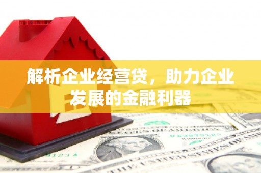 定安解析企业经营贷，助力企业发展的金融利器