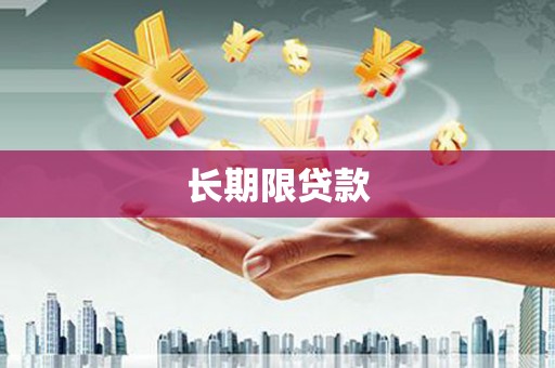 定安长期限贷款