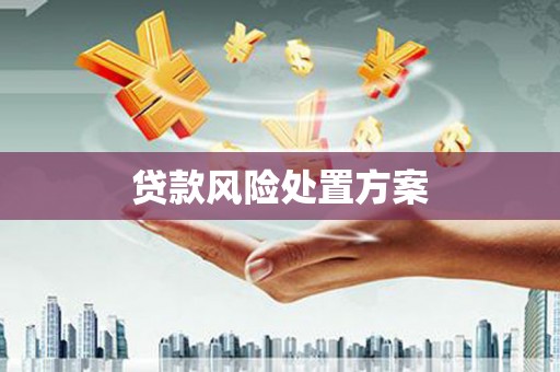 定安贷款风险处置方案