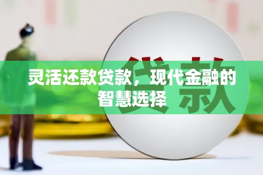 定安灵活还款贷款，现代金融的智慧选择