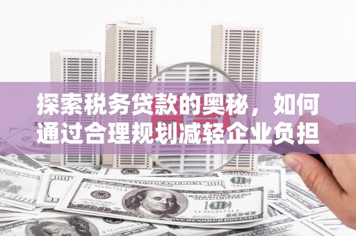 定安探索税务贷款的奥秘，如何通过合理规划减轻企业负担