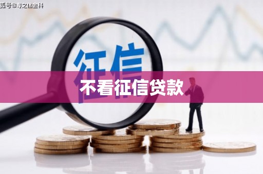 定安不看征信贷款