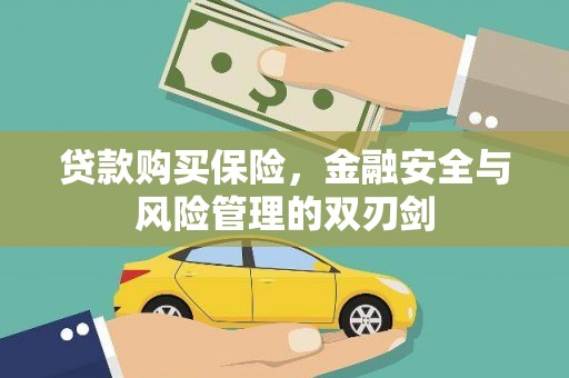 定安贷款购买保险，金融安全与风险管理的双刃剑
