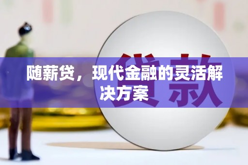 定安随薪贷，现代金融的灵活解决方案