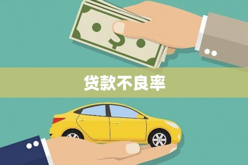 定安贷款不良率